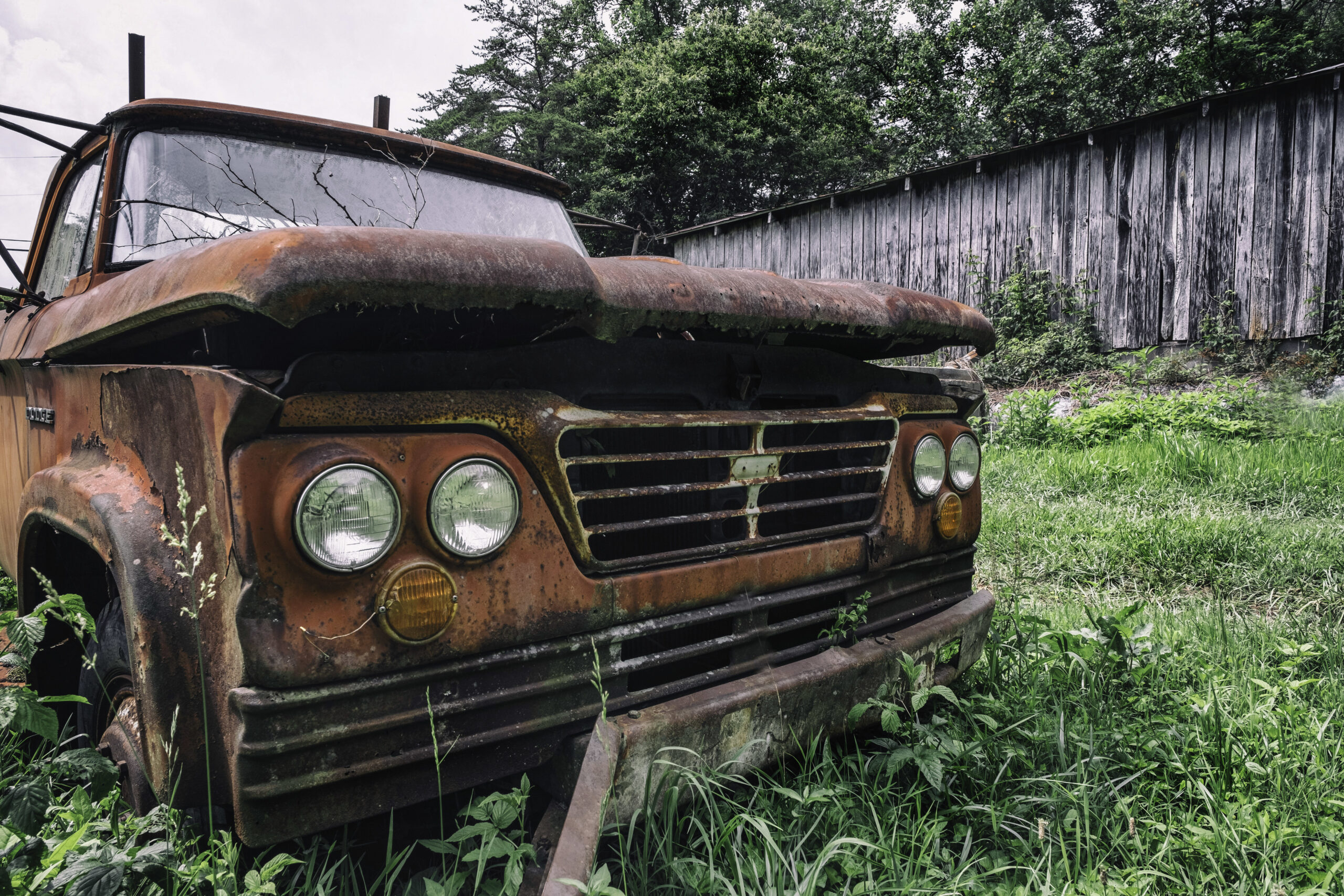 old-car-grass-scaled